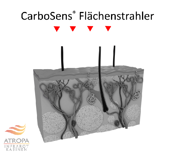 Gif about comparison of CarboSens to TWS to VSS infrared heaters